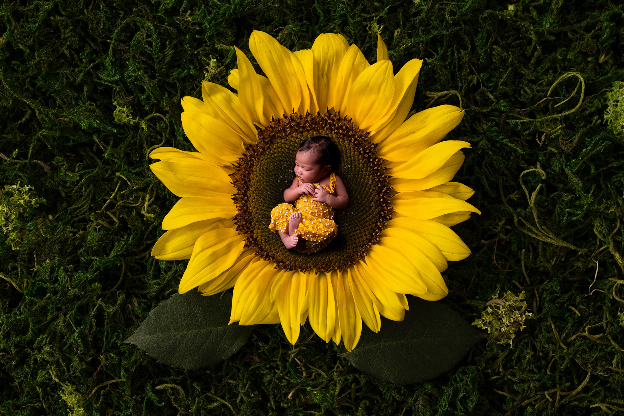 Newborn photographer sutton coldfield