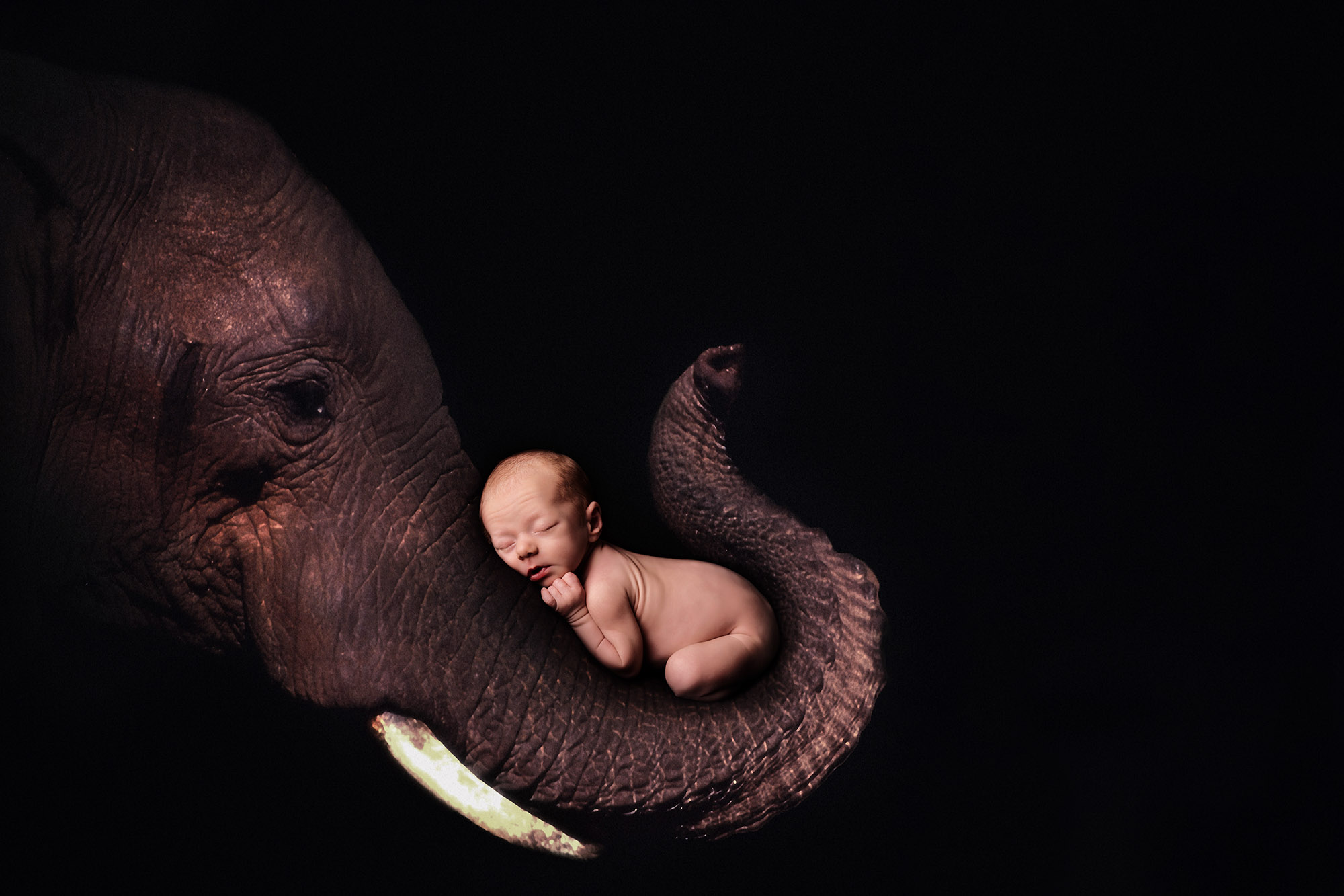 Newborn photography sutton coldfield baby on an elephant